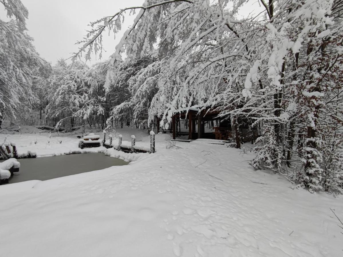 Miedzy Drzewami Villa Biecz ภายนอก รูปภาพ